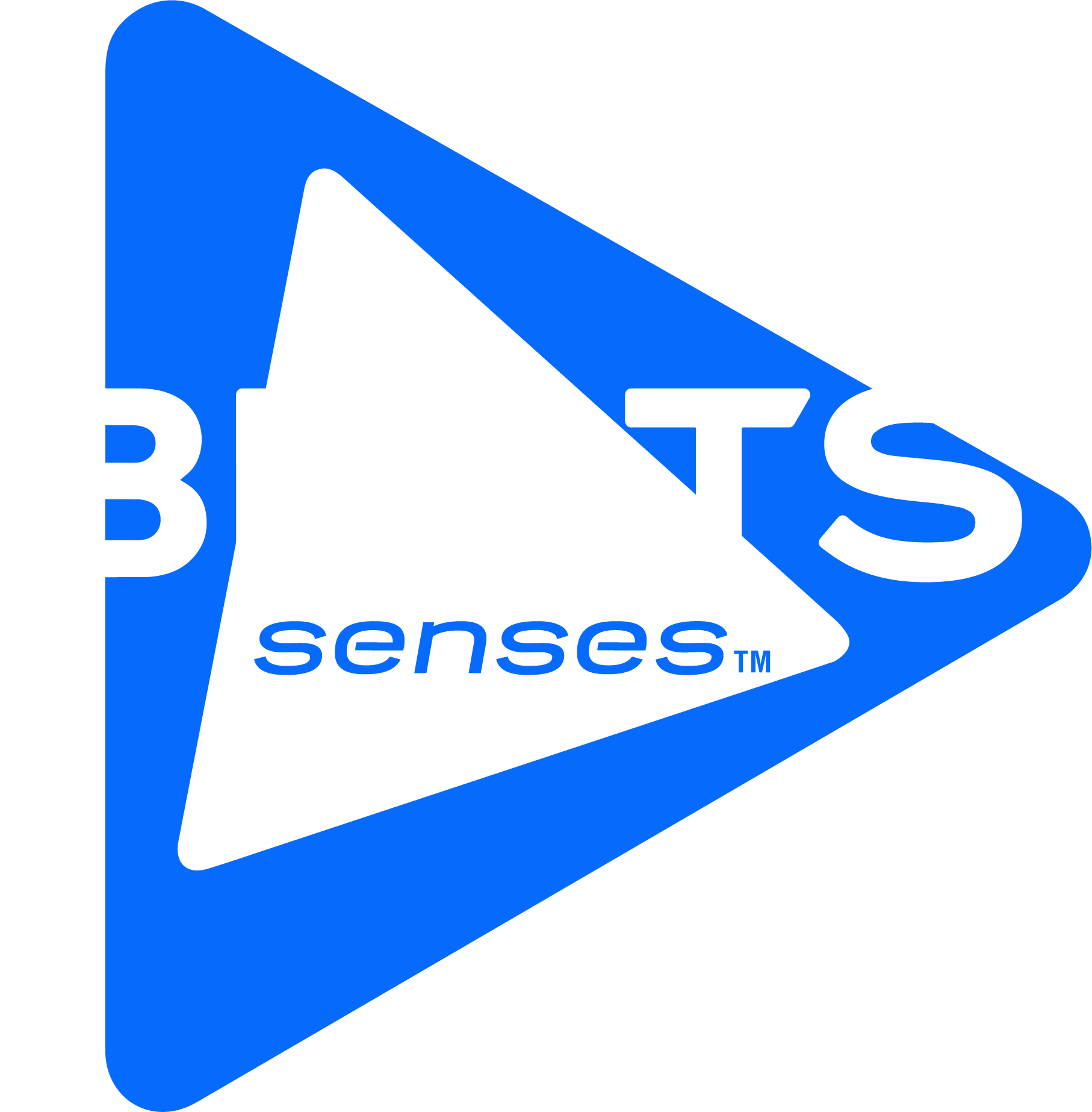 BeatsSenses_Primary_Logo_Digital (2)