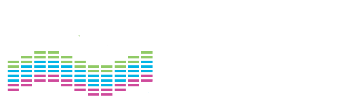Night Nation Run Logo